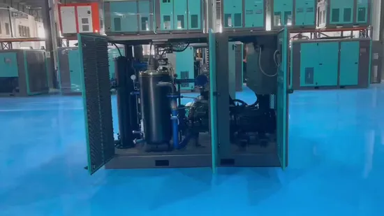 Low-Power Consumption Mla-060 Two-Stage VSD Screw Compressor for High-Pressure Modified Atmosphere Packaging
